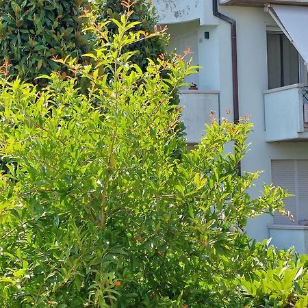 圣克莱门特A Casa Danoi别墅 外观 照片