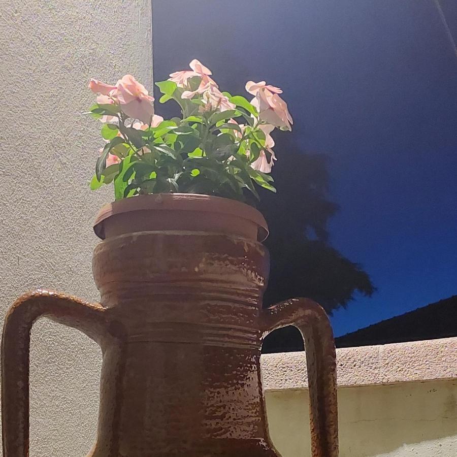 圣克莱门特A Casa Danoi别墅 外观 照片