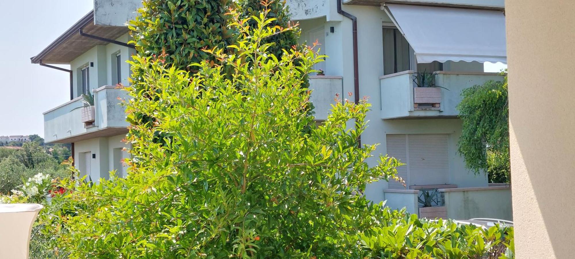 圣克莱门特A Casa Danoi别墅 外观 照片